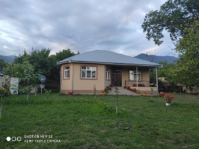 Guest house in Qabala